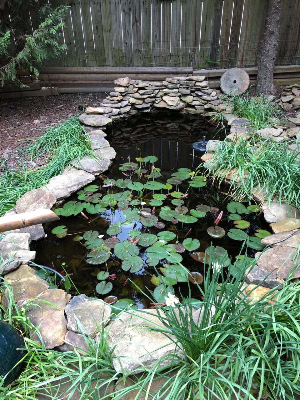 Natural landscape, Garden view