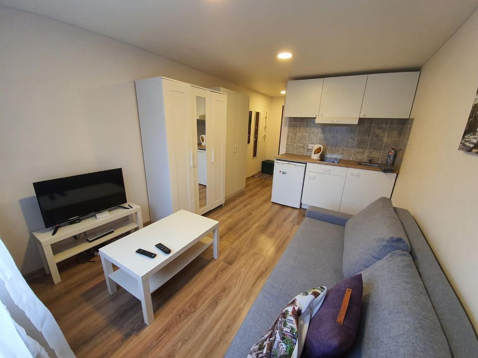 Akropolis Apartment for You Apartment in Klaipėda