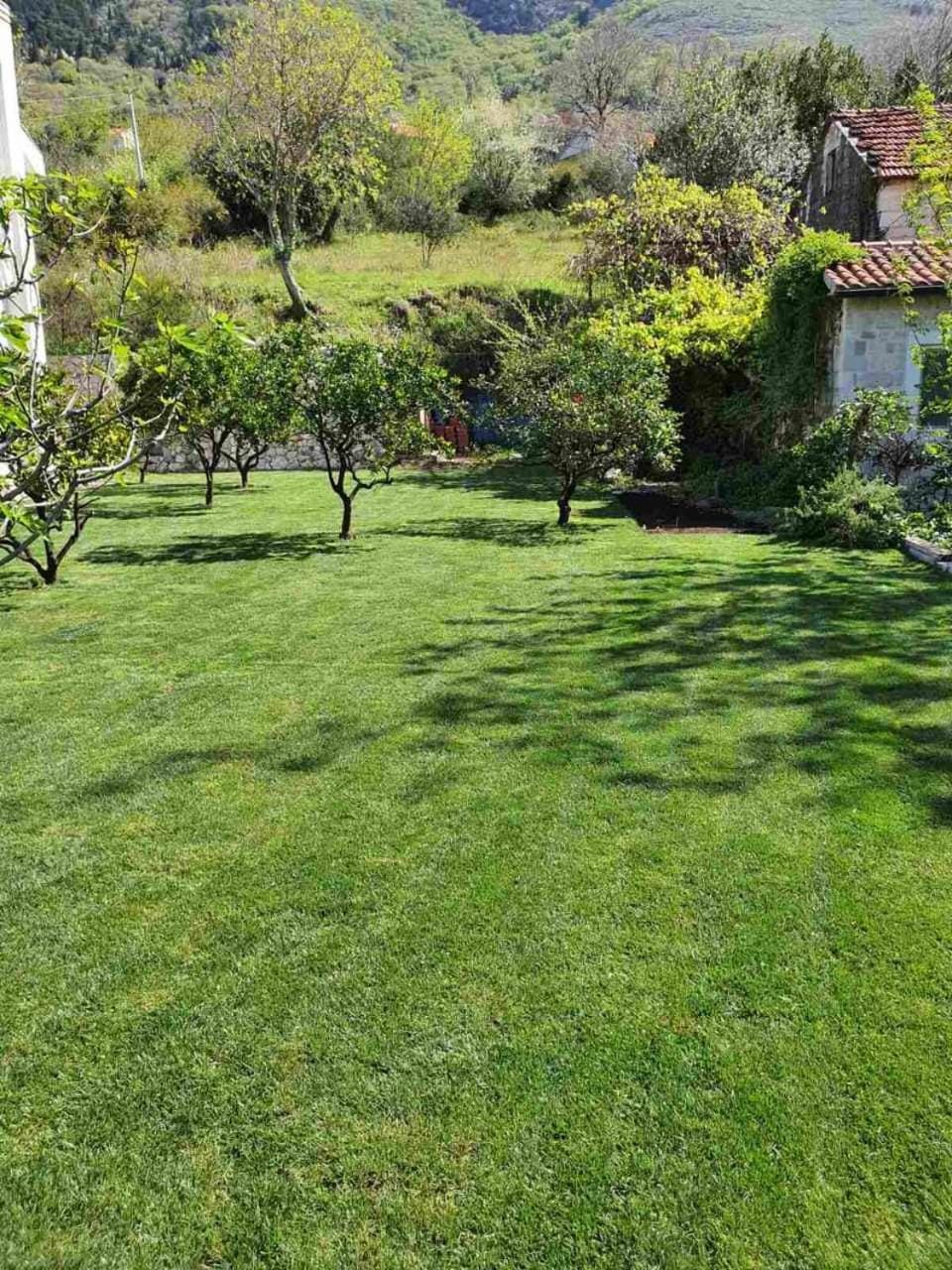 Queen Teuta - Sea View - Private Parking & Garden - BBQ Grill Bed and Breakfast in Kotor Municipality