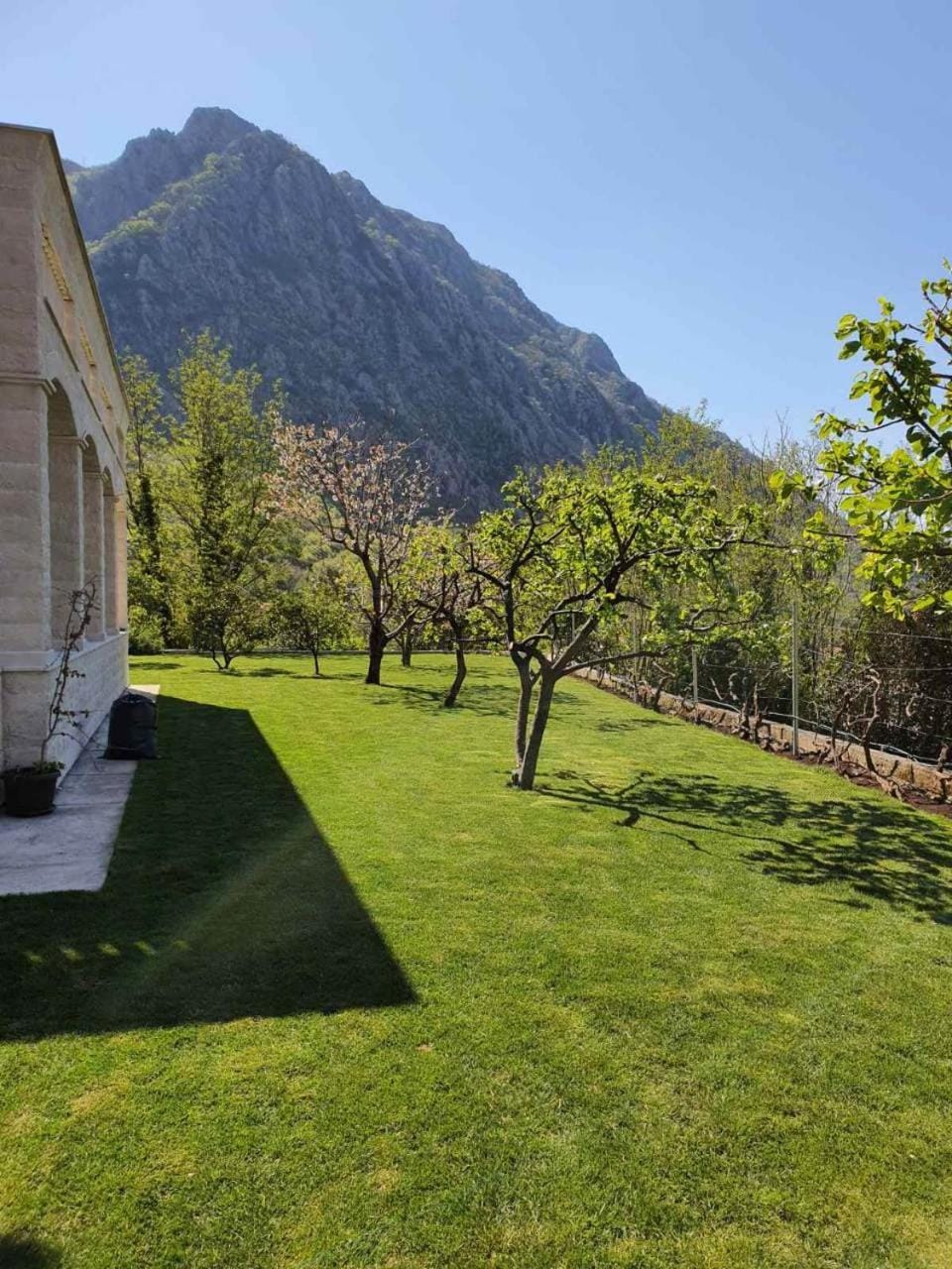 Queen Teuta - Sea View - Private Parking & Garden - BBQ Grill Bed and Breakfast in Kotor Municipality