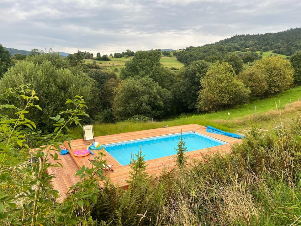 Natural landscape, Swimming pool, sunbed