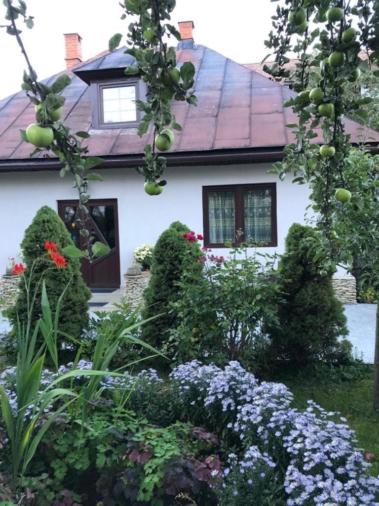 Casa Maria House in Bran