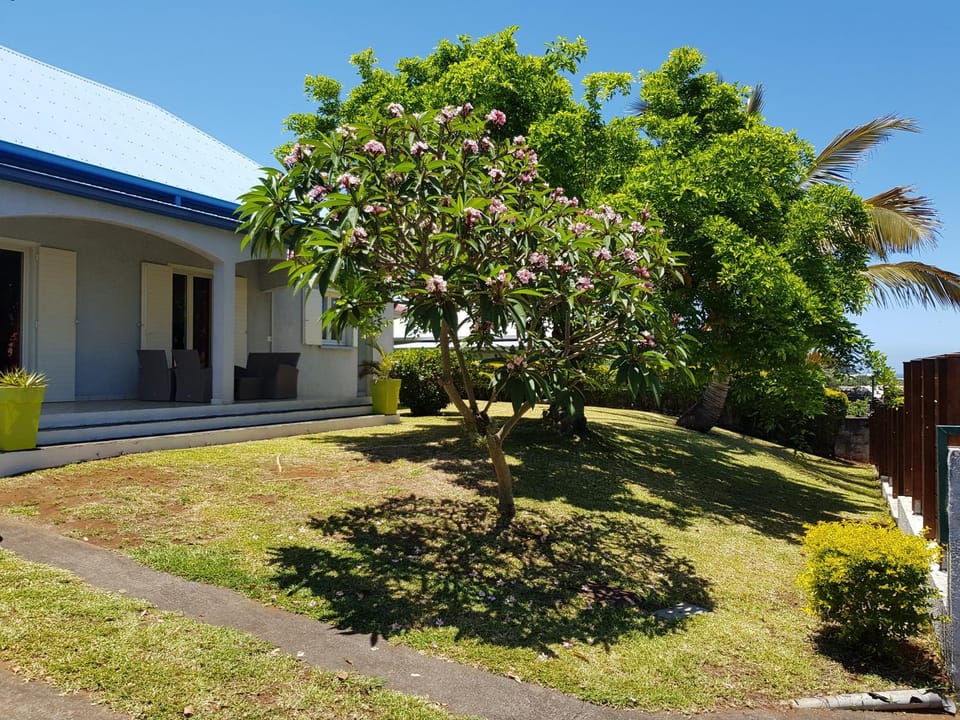 Patio, Facade/entrance, Garden