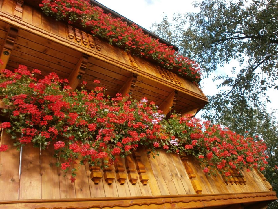 Facade/entrance, Balcony/Terrace