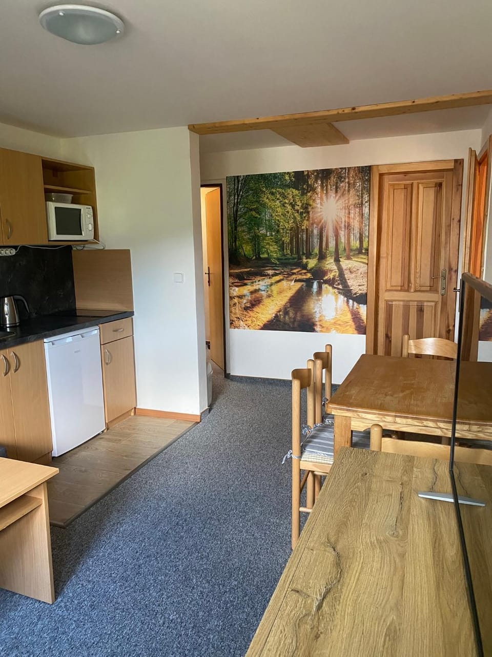 Kitchen or kitchenette