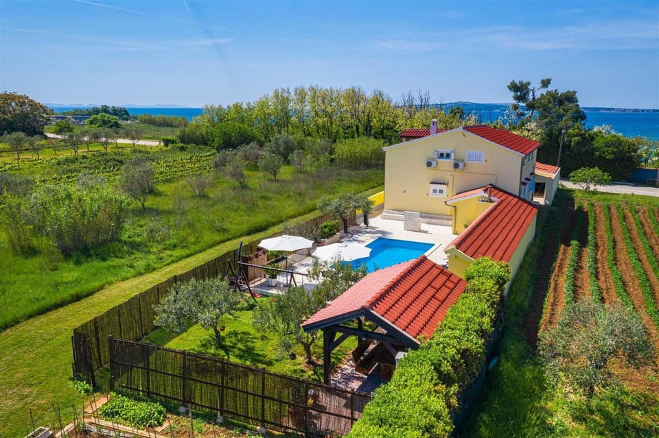Patio, Garden, Garden view
