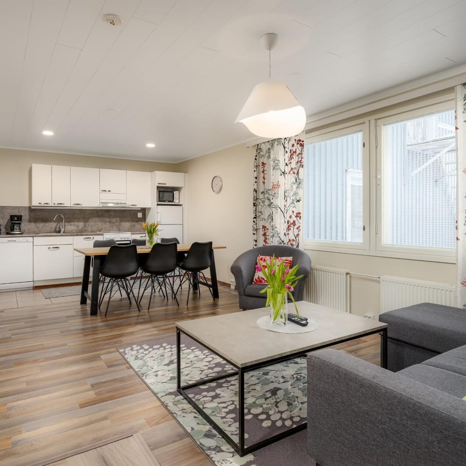 Kitchen or kitchenette, Living room, Seating area, Dining area, oven, stove