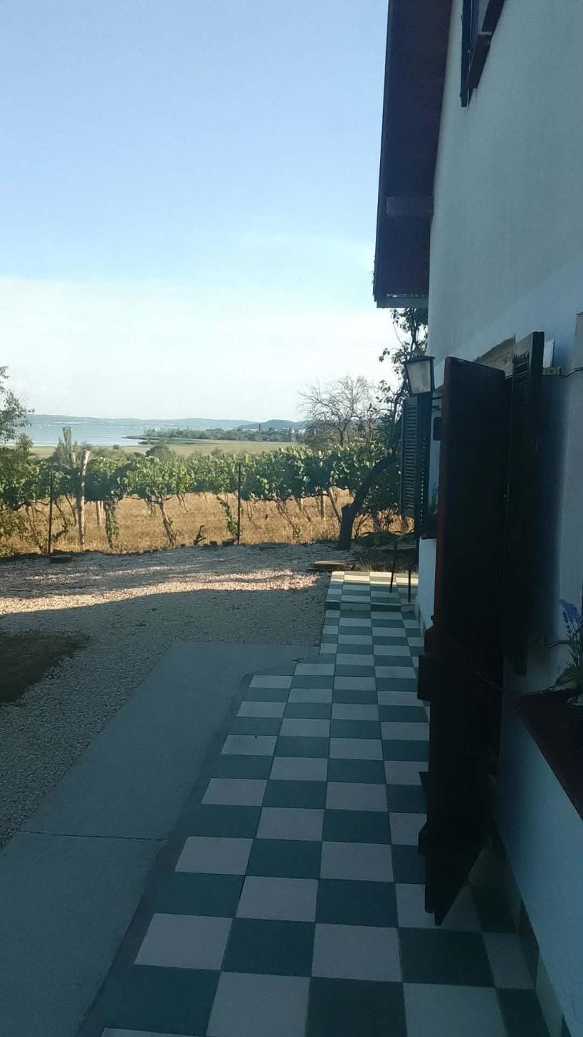 Lake view