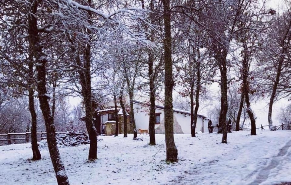 Day, Natural landscape, Winter