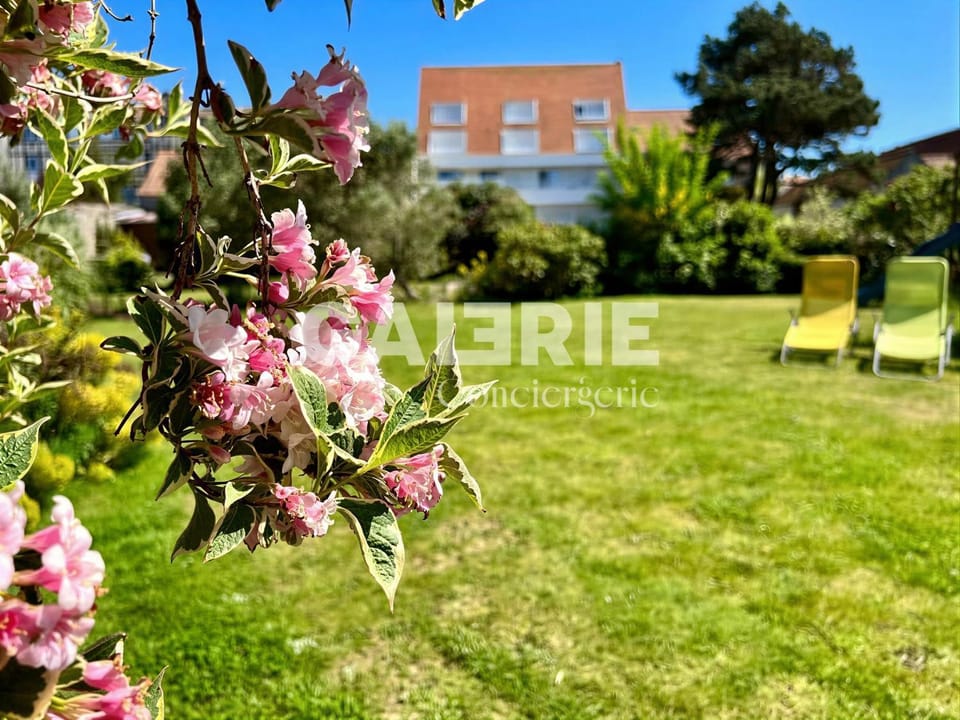 Natural landscape, Garden, Garden view