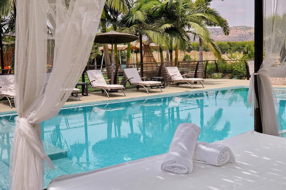 Pool view, Swimming pool