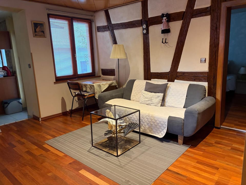 AUX DEUX CIGOGNES AMMERSCHWIHR Apartment in Grand Est