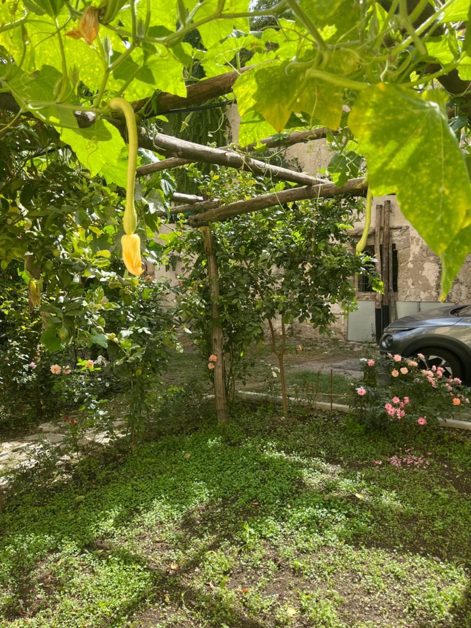 Le Case di Don Andrea Apartment in Minori