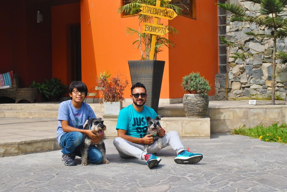 Pets, children, Family