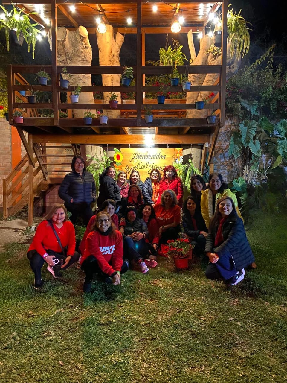 Night, People, Garden, Garden view, group of guests