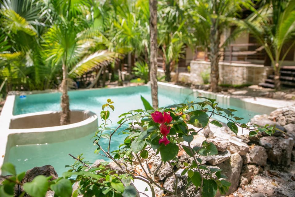 Pool view, Swimming pool, Swimming pool