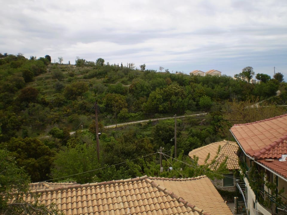 Neighbourhood, Mountain view
