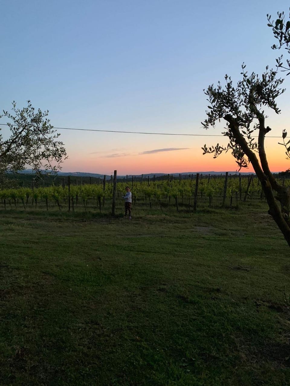 Garden, Sunset