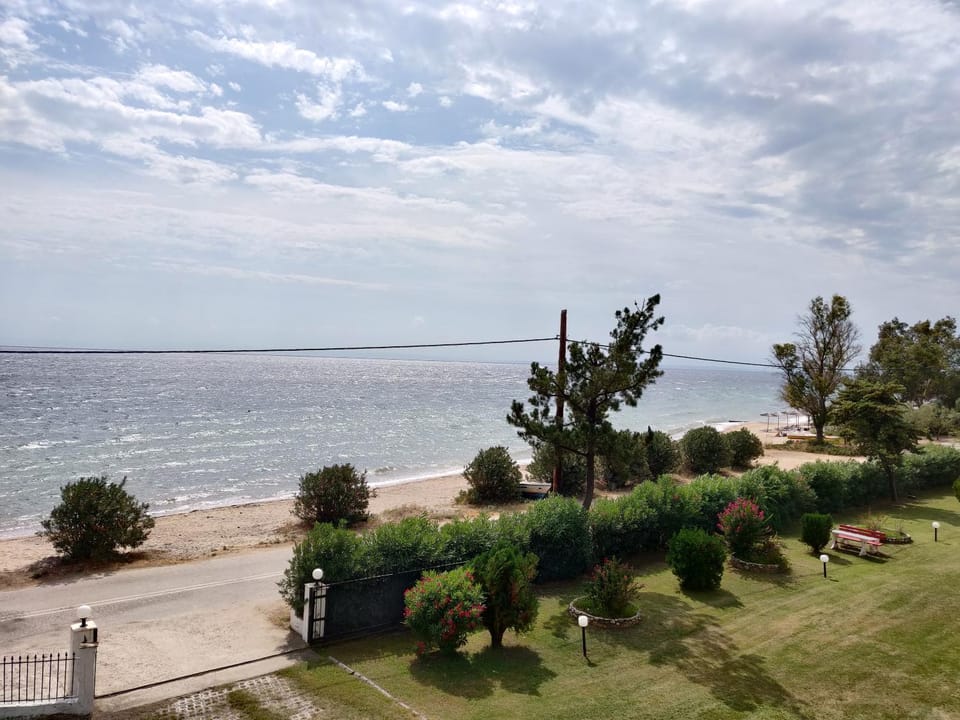 Spring, Day, Natural landscape, Summer, Garden, Balcony/Terrace, Beach, Beach, Autumn, Garden view, Sea view, Street view, Seasons, Time of day, Location
