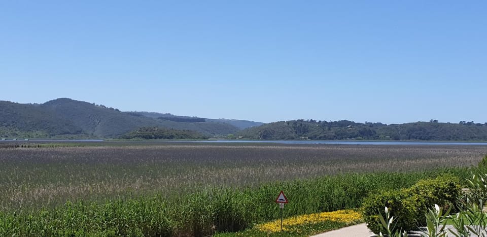 View (from property/room), Lake view