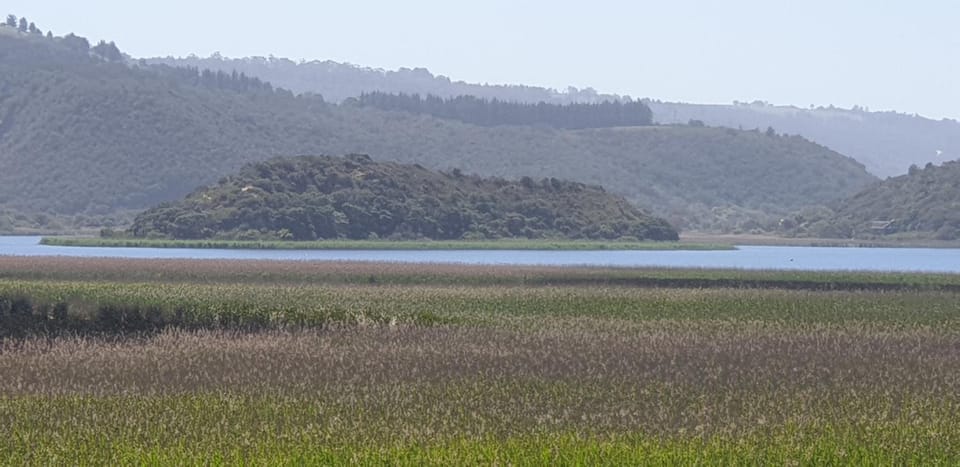 Lake view
