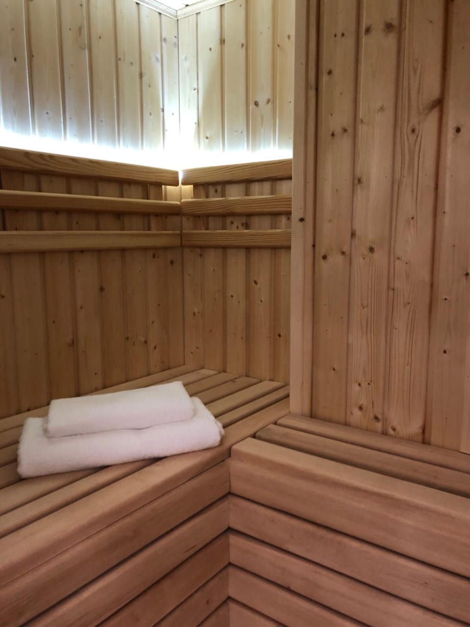 Sauna, Spa and wellness centre/facilities
