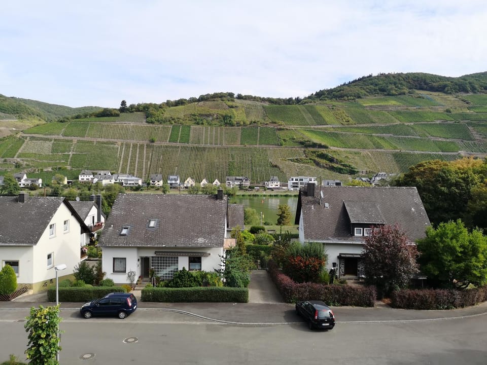 Appart-Pension-Schier Bed and Breakfast in Cochem-Zell