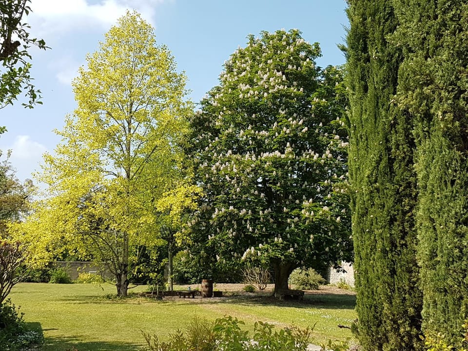 Garden, Garden