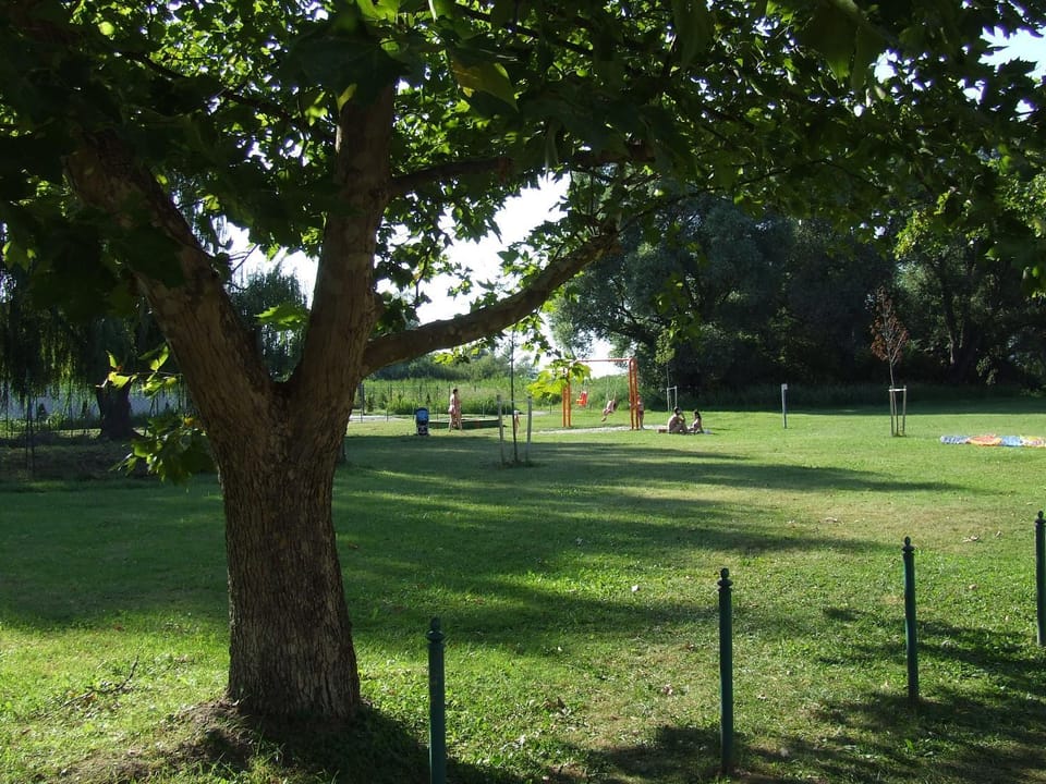 Neighbourhood, Garden