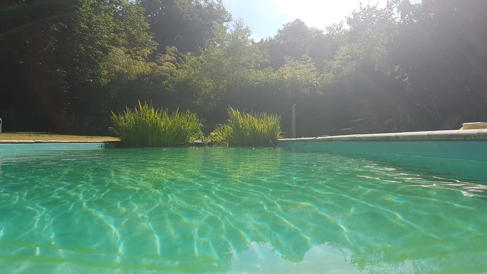 Chateau Igny Bed and Breakfast in Centre-Val de Loire
