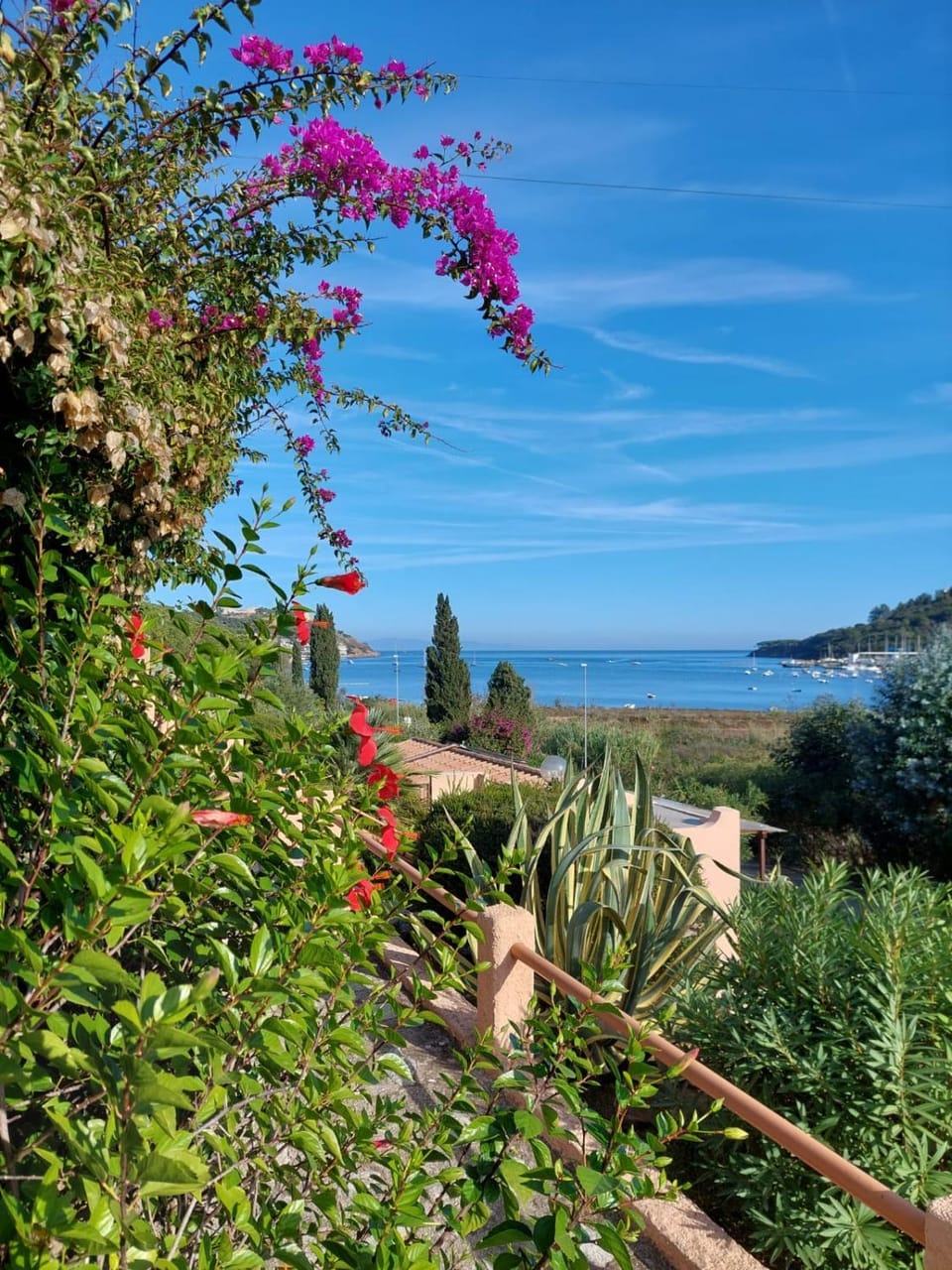 Sea view