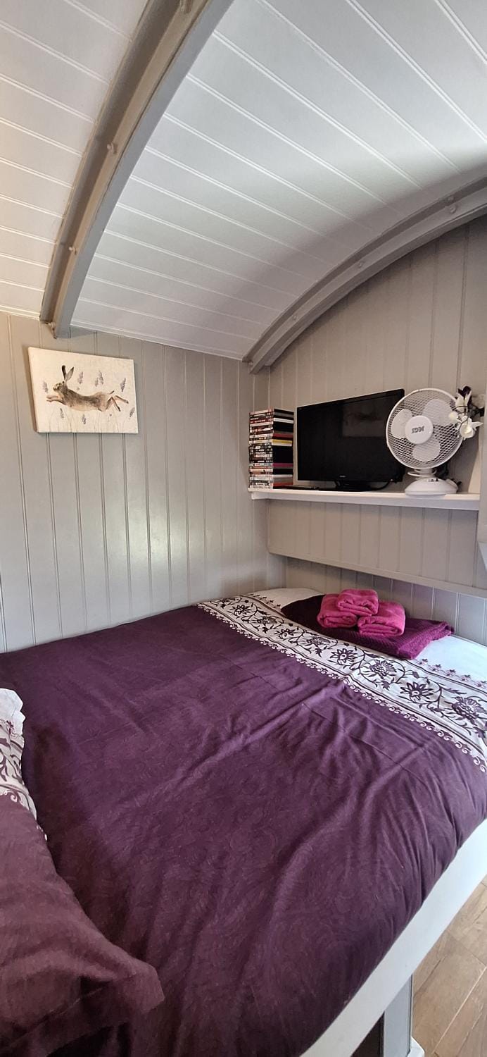 Pen-Rhos luxury glamping "Cuckoo's Nest" House in Wales