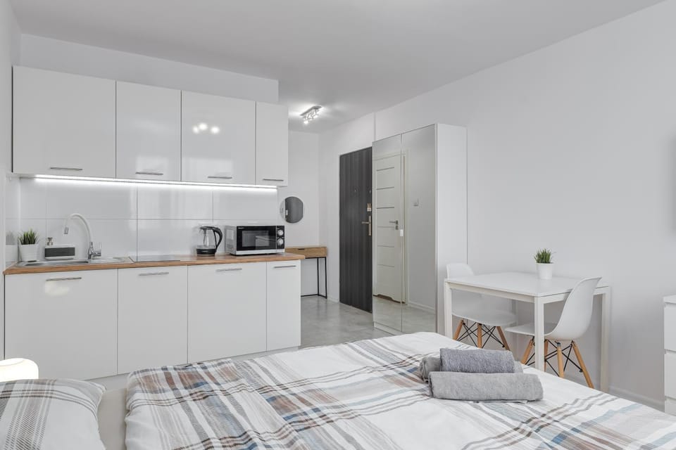 Kitchen or kitchenette, Photo of the whole room, stove