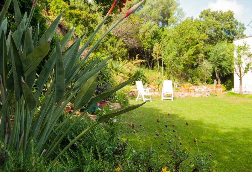 Garden, Garden view