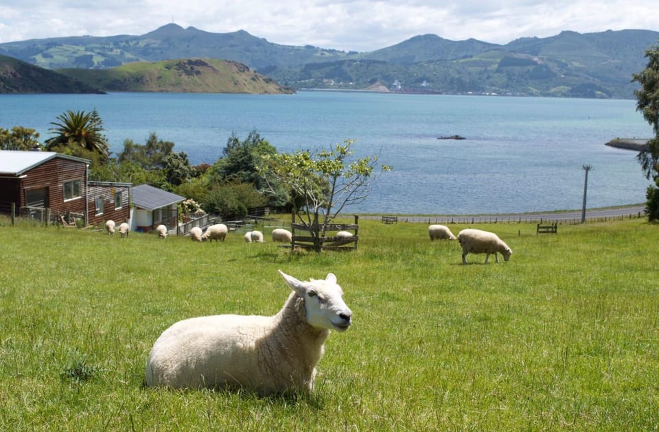 Natural landscape, Animals