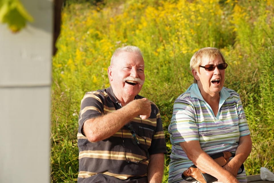 Guests, group of guests