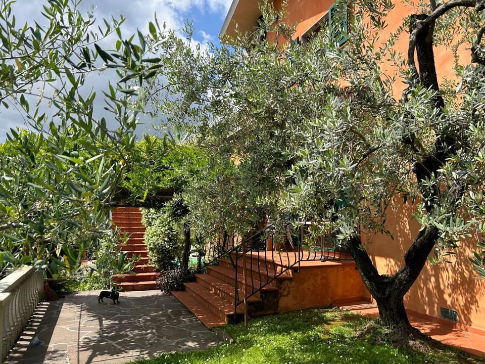 Property building, Garden