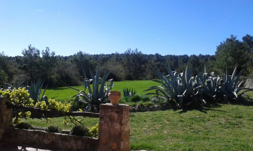Garden, Garden view