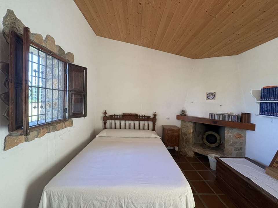Bedroom, fireplace