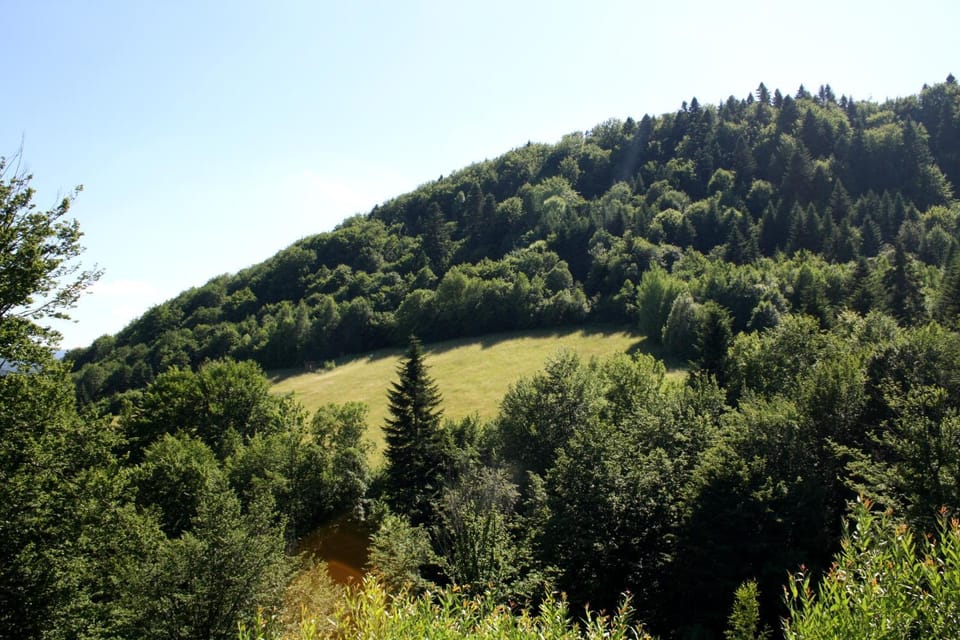 Mountain view