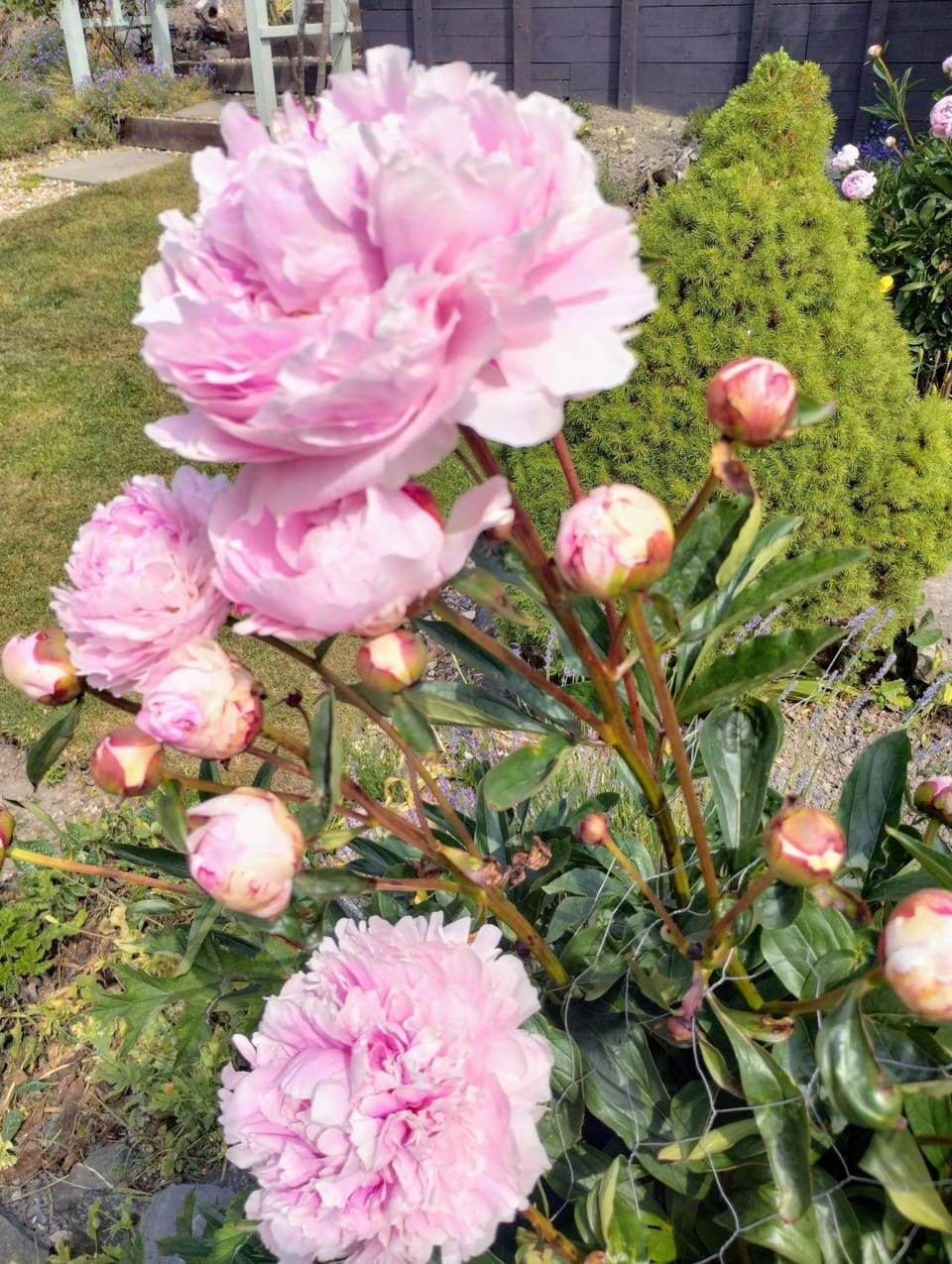 Pentre ISAF Bed and Breakfast in Wales