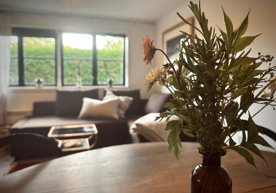 Living room, kitchen