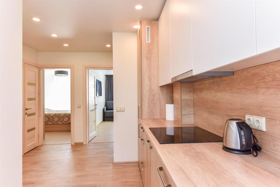 Crystal Grey Apartment in Lithuania