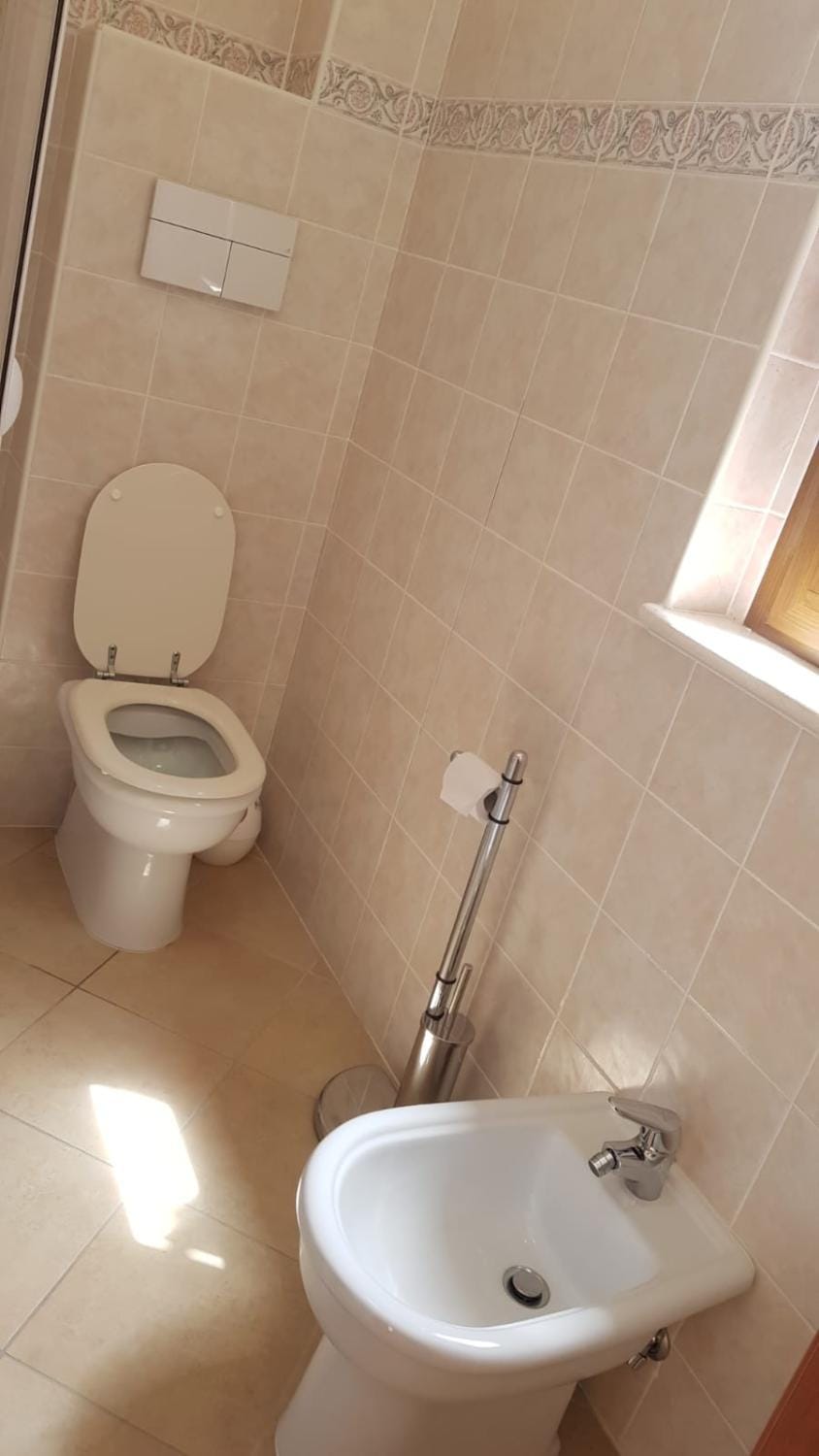 Shower, Toilet, Bathroom, bidet