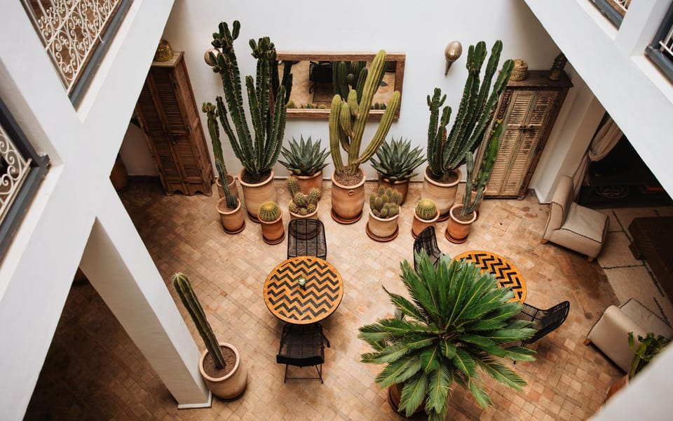 Patio, Restaurant/places to eat, Garden view