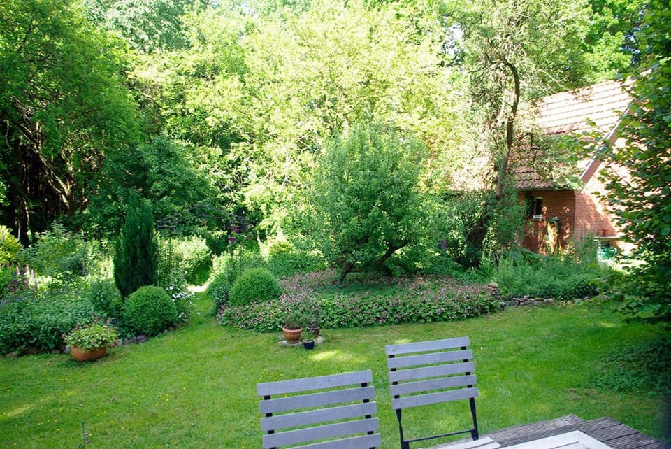 Alte Schule Osteroden Apartment in Lower Saxony, Germany