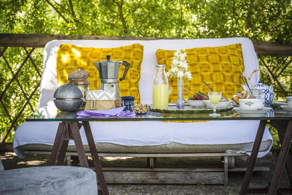 Garden, Food and drinks, Food, Drinks, Alcoholic drinks