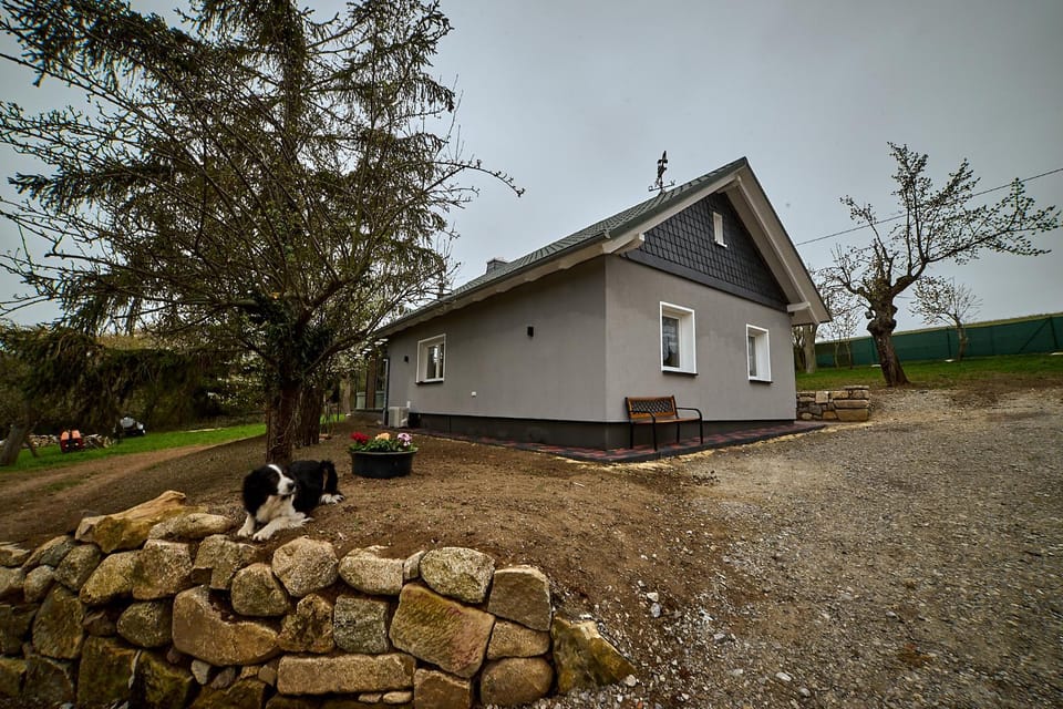 Property building, Pets