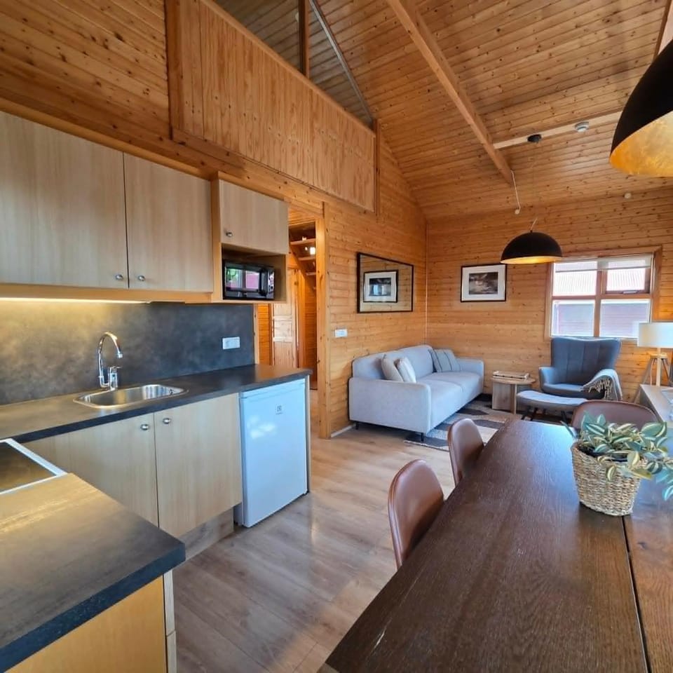 Living room, kitchen