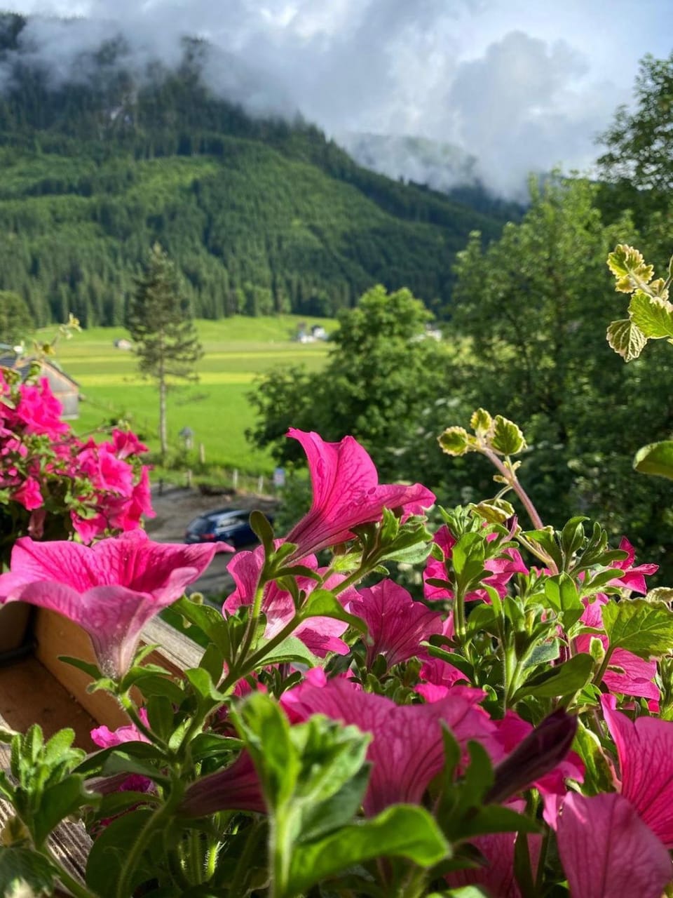 Neighbourhood, Natural landscape, Summer, View (from property/room), Area and facilities
